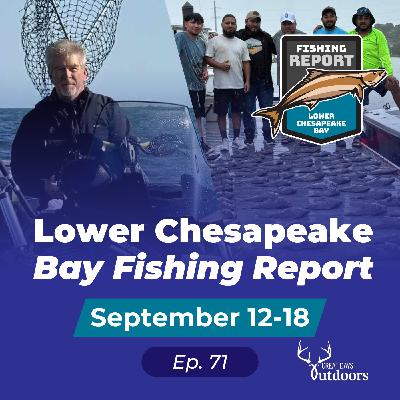 Giant Cobia, Tog, Seabass & Triggerfish, plus Jet Ski fishing Giant Cobia, Tog, Seabass & Triggerfish, plus Jet Ski fishing