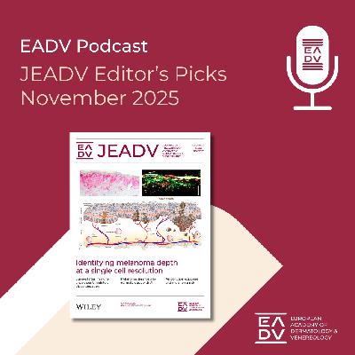 E149: Editor’s Picks November 2025 E149: Editor’s Picks November 2025