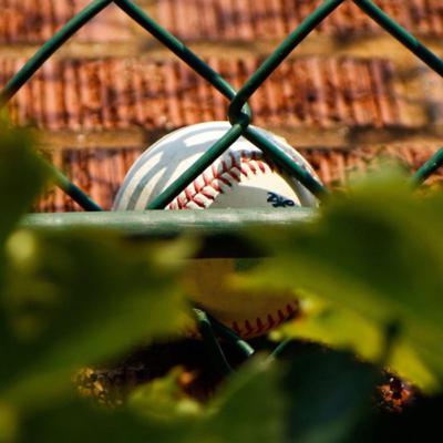 Your Daily Baseball News!