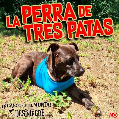 S27 Ep6224: La Perra de Tres Patas