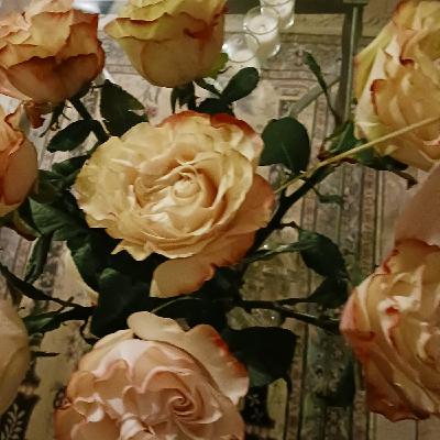 Episode 4: How To Let Go Of Stuff, Show #4