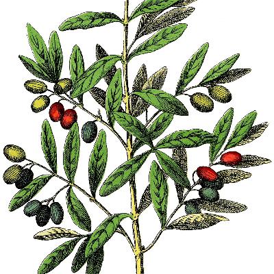 Fast and Pray Part 1: Why? Fast and Pray Part 1: Why?