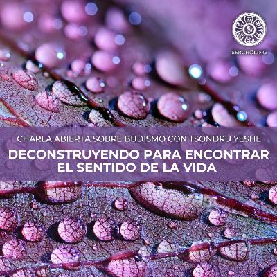 DECONSTRUYENDO PARA ENCONTRAR EL SENTIDO DE LA VIDA