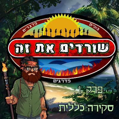 פרק 1: סקירה כללית