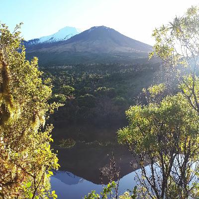 #6 - My Journey to self love, finding stillness & taking control of my internal narrative