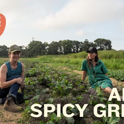 EP06 High Summer Baby Greens Tour 🌱🥗
