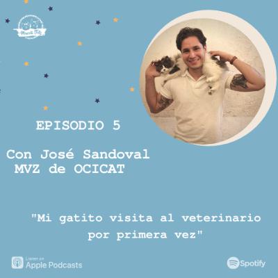 E5. Mi gatito visita al veterinario por primera vez | Dr. José Sandoval de OCICAT Clínica Felina E5. Mi gatito visita al veterinario por primera vez | Dr. José Sandoval de OCICAT Clínica Felina