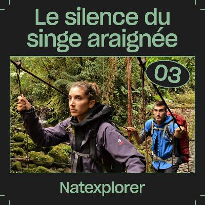 #03 — Le silence du singe araignée, avec Natexplorers