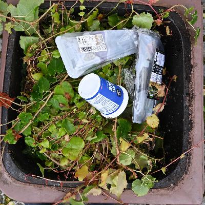 Mehr Bio in die Biotonne