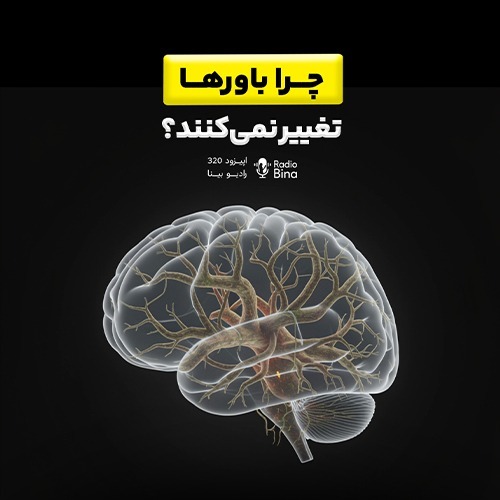 چرا باورها تغییر نمیکنند؟ چرا باورها تغییر نمیکنند؟