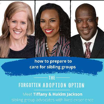 how to prepare to care for sibling groups