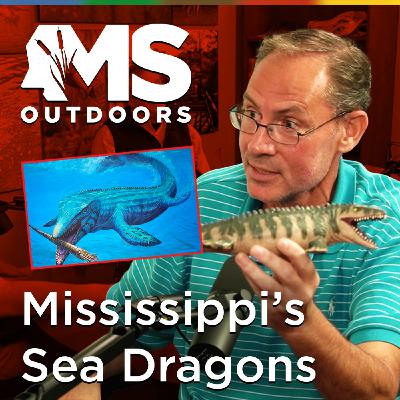 Sea Dragons, Mammoths, & the Lost Ocean of Mississippi with James Starnes