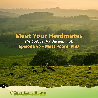 66 Matt Poore, PhD 66 Matt Poore, PhD