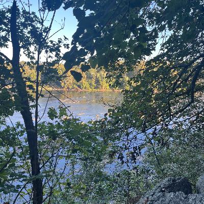 80：“显化”也有套SOP：不止玄学，是梦想落地操作指南