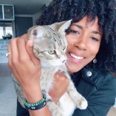 Supply Chain Supply Chain