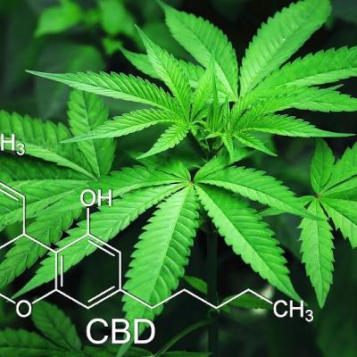 Lee's Real Music Radio Pod ▷ 'The Cannabis Session 2020 Thailand Report'