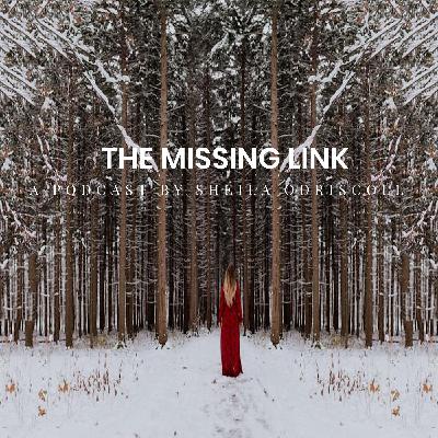 The Missing and Murdered Indigenous Woman Series Episode # 1