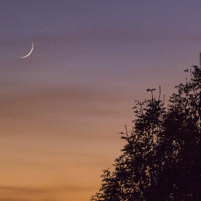 Méditation - Nouvelle Lune 10 juin 2021 (Astro - Tarot)