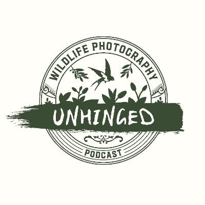 8: Life Updates, Artistic Process, and The Shorebird Trip with Jack Medeiros