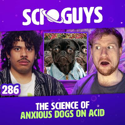 286: The Science of Dogs on Acid