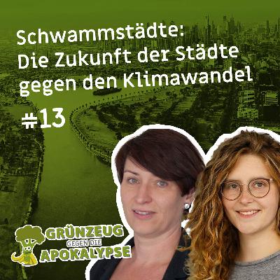 #13 Schwammstädte: Die Zukunft der Städte gegen den Klimawandel #13 Schwammstädte: Die Zukunft der Städte gegen den Klimawandel