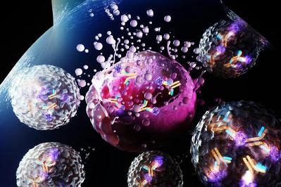 Teaching the Immune System to Fight Cancer