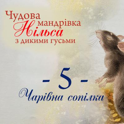 Чудова мандрівка Нільса з дикими гуськи. 5 розділ. СОВА ОК