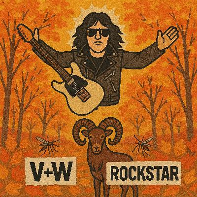 ROCKSTAR: Vegy na pódiu, Wlado v publiku + islandské můry a ovčí záhady 🐑