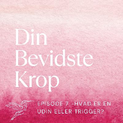 Episode 7: Hvad er en UDIN og en trigger?