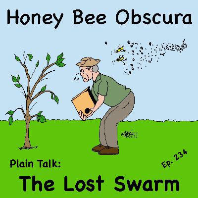 Plain Talk: The Lost Swarm (234)