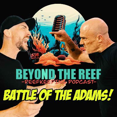 Battle Of The Adams (Battle Corals)