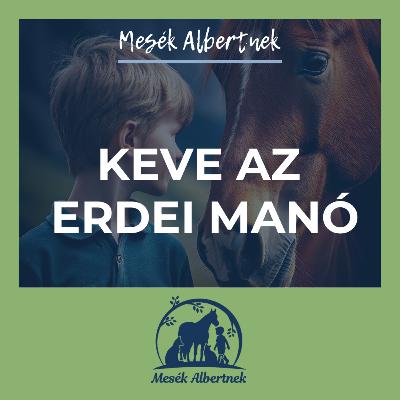 Keve az erdei manó Keve az erdei manó