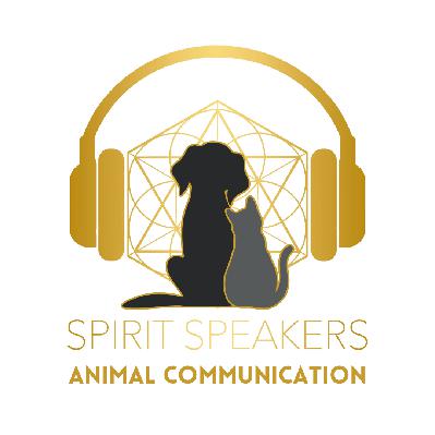 Animal Communication