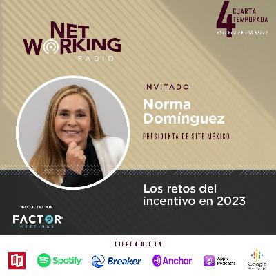 Los retos del incentivo en 2023