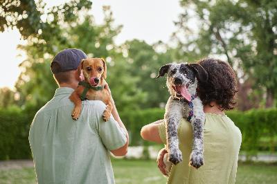 Ligner hundeejere virkelig deres hunde?