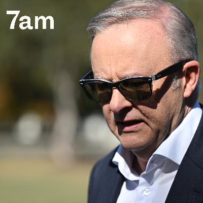 What did Albanese achieve this year?