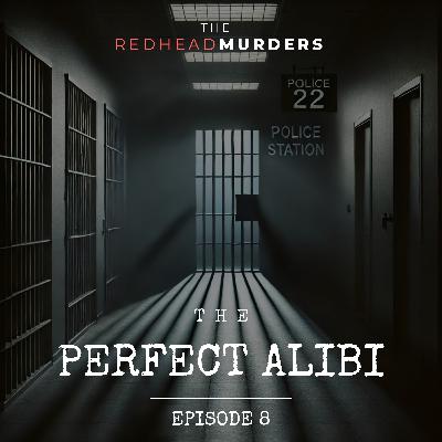 8: The Perfect Alibi