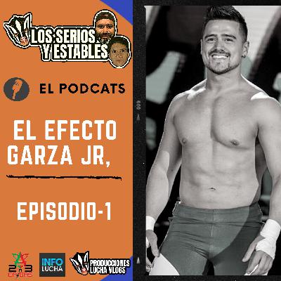 LOS SERIOS Y ESTABLES : EPISODIO 1