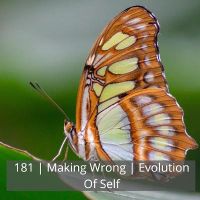 181: 181 | Making Wrong | Evolution Of Self 181: 181 | Making Wrong | Evolution Of Self
