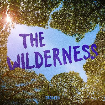 The Wilderness: How Kamala Beats Trump (S4E8)