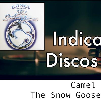 S03E32: Camel - The Snow Goose (1975)