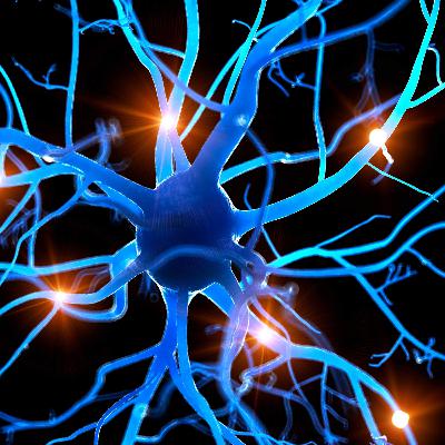 Укрепление нервной системы. Аутотренинг для женщин