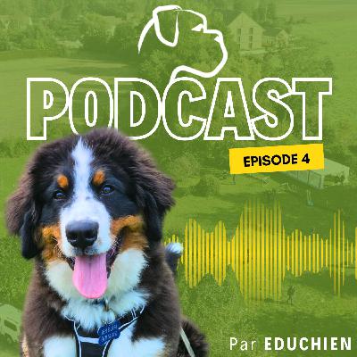 Occuper son CHIEN : Trouver le bon équilibre entre activité et repos 🐶 - EDUCHIEN PODCAST 🎙️