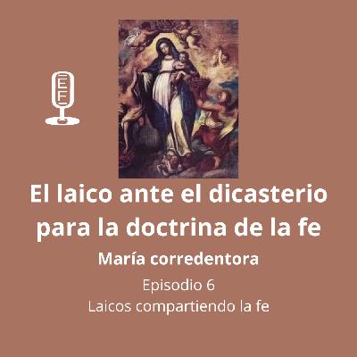 El laico ante el dicasterio para la doctrina de la fe.