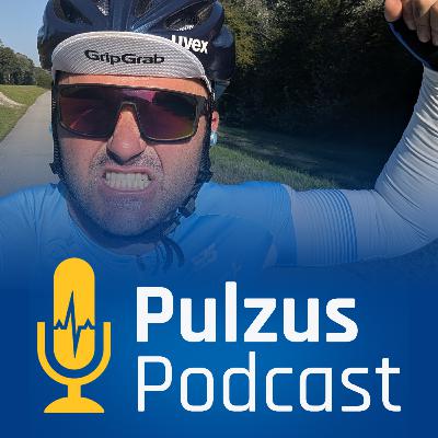 Donauradweg - A bringás El Camino