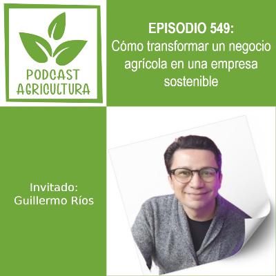 549 Cómo transformar un negocio agrícola en una empresa sostenible con Guillermo Ríos