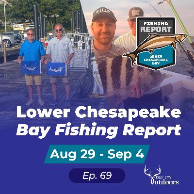 Marlin fishing 101, Puppy drum & Sheepshead inshore Marlin fishing 101, Puppy drum & Sheepshead inshore