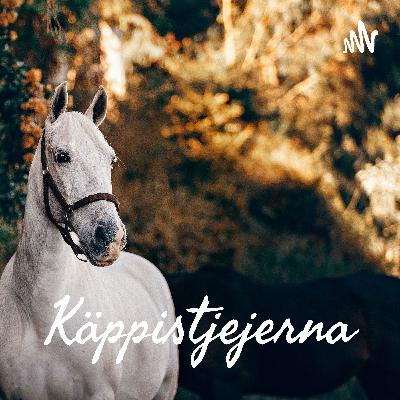 Våra käpphästar