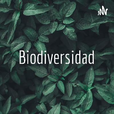 Biodiversidad