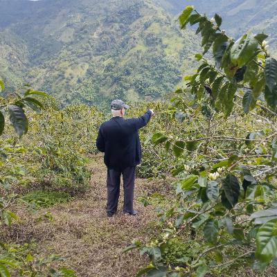 Omar Giraldo Giraldo. Una infancia campesina en la Colombia del siglo XX Omar Giraldo Giraldo. Una infancia campesina en la Colombia del siglo XX